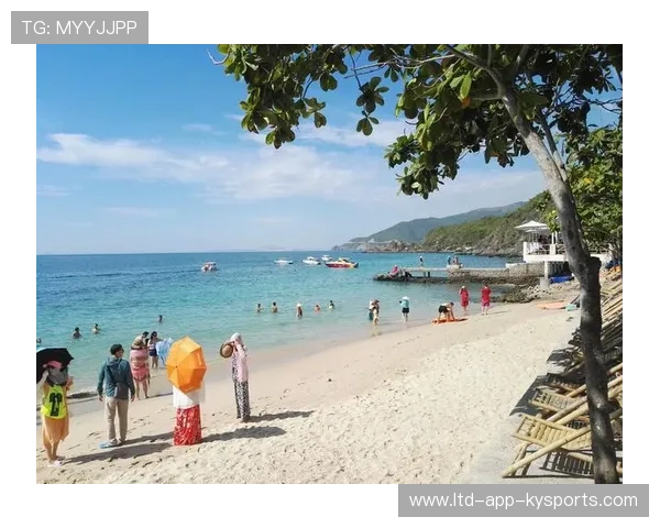 潜水探险赛：深海奇观的探索之旅，acfun潜水探险